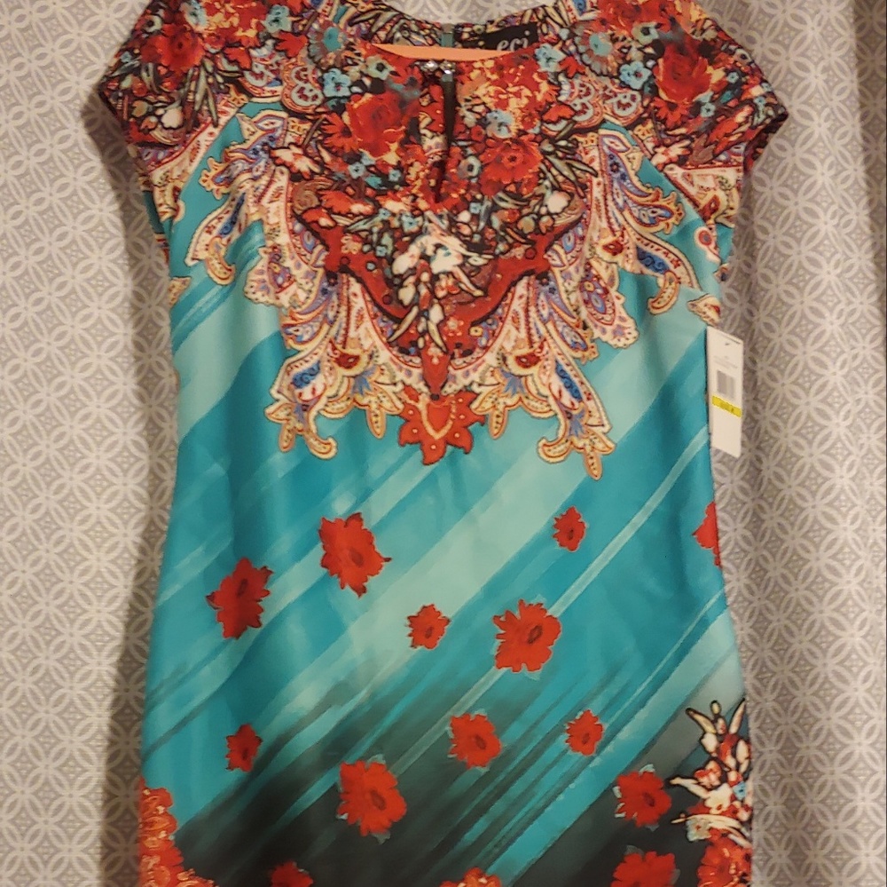 Asian Inspired Form Fitting Eci New York Dress